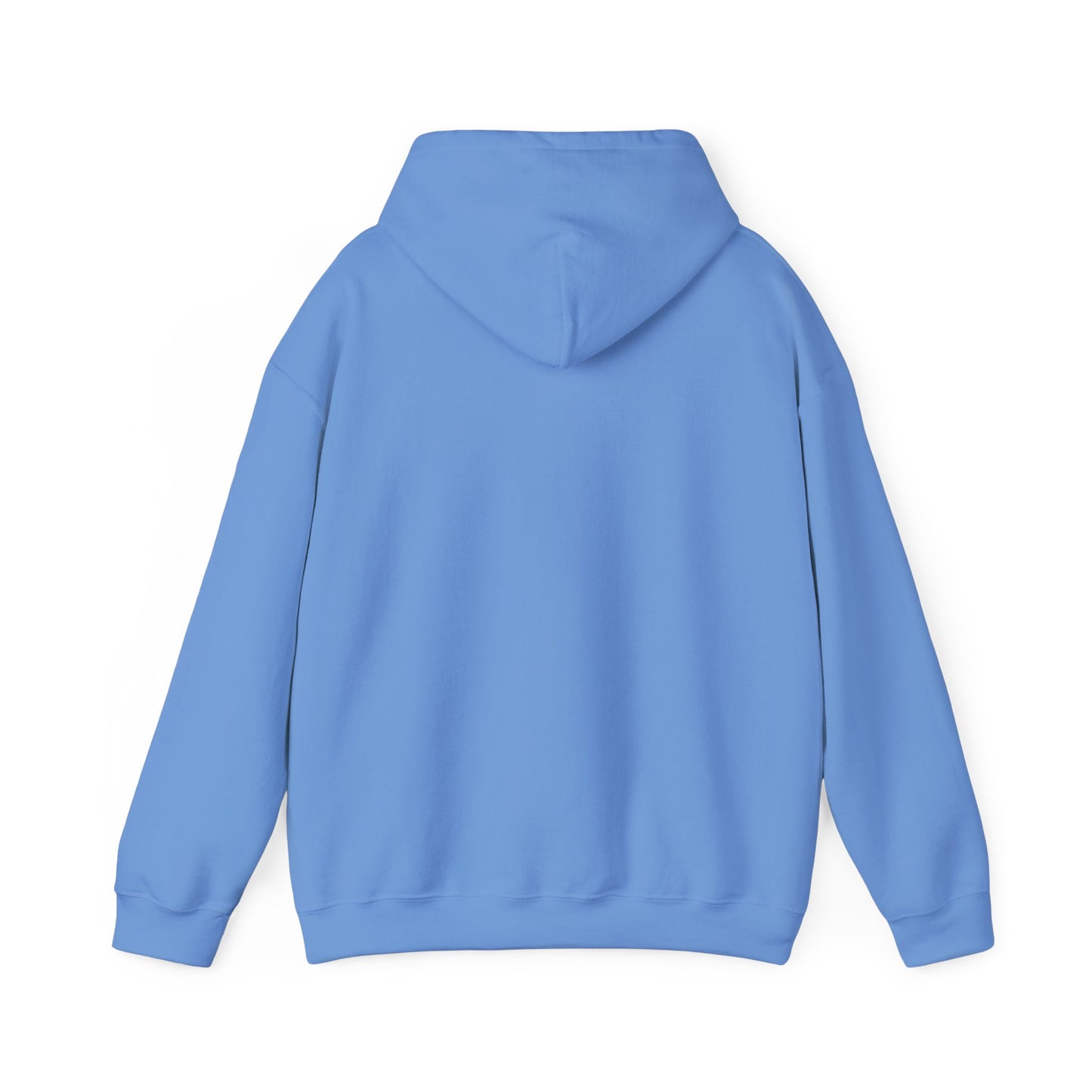 Walk in Purpose Hoodie