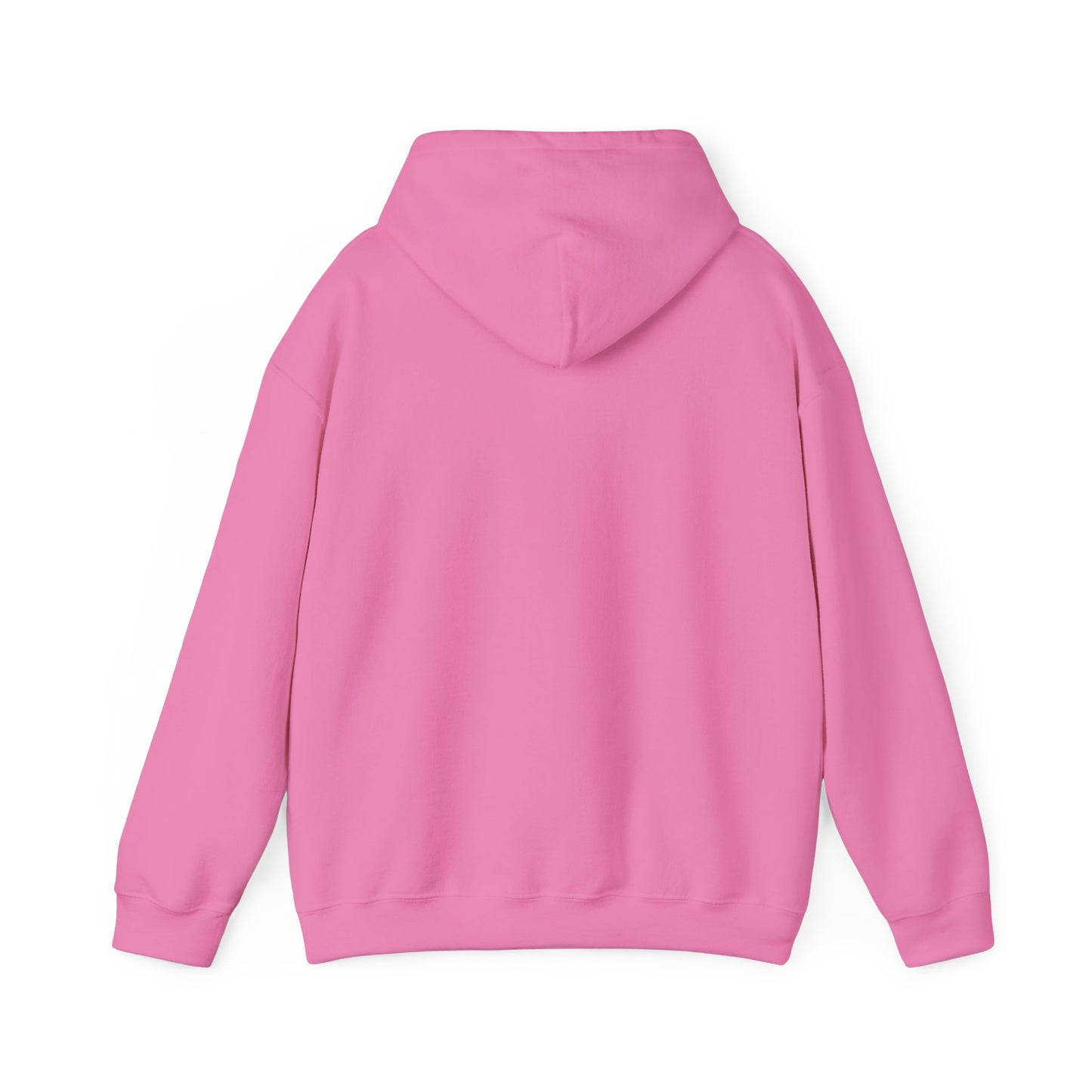 Walk in Purpose Hoodie
