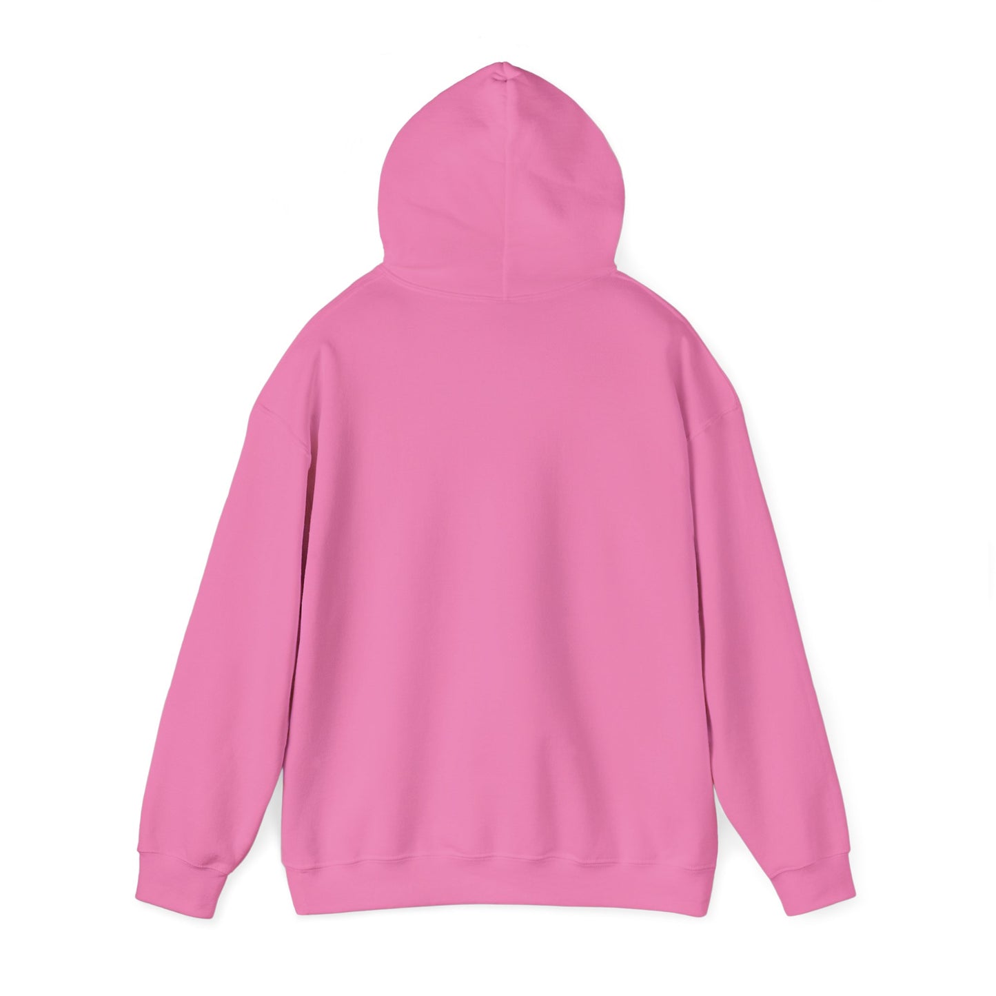 Walk in Purpose Hoodie