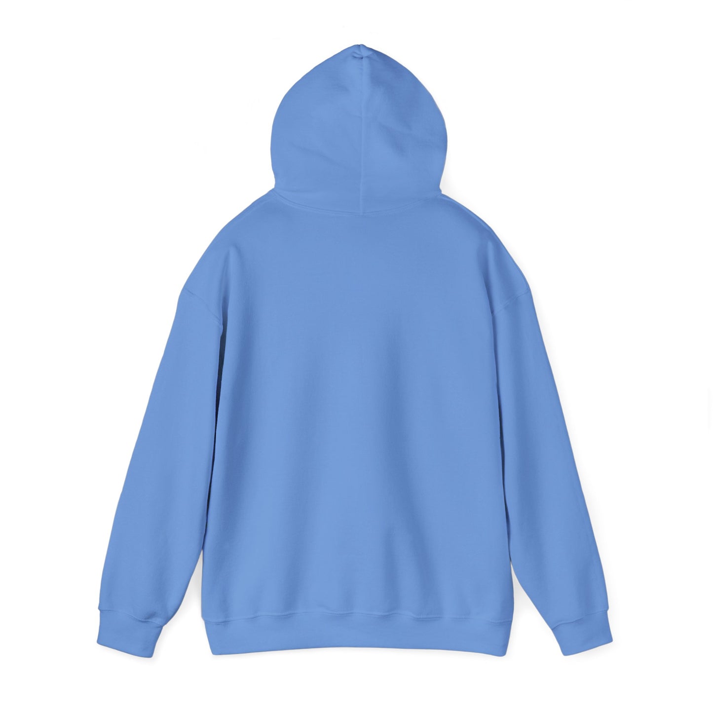 Walk in Purpose Hoodie