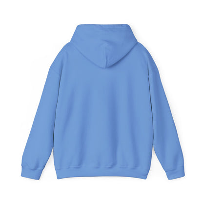 Walk in Purpose Hoodie